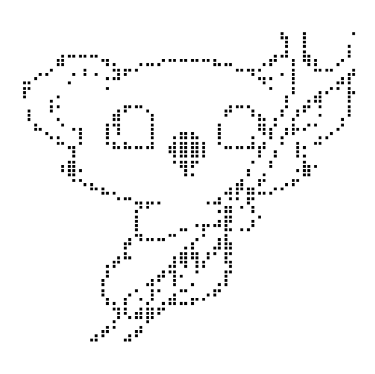 koala.png